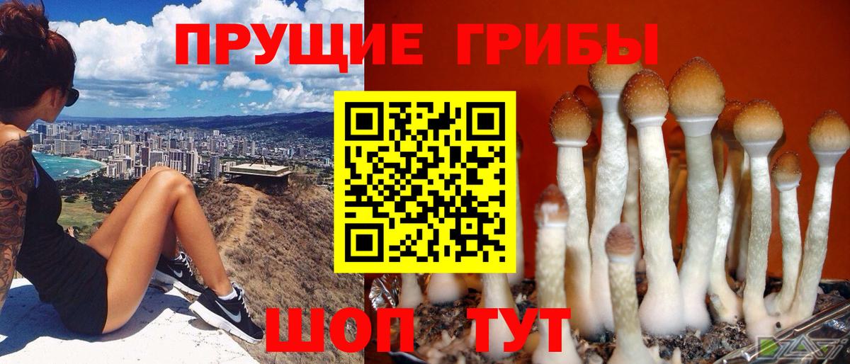 Галлюциногенные грибы Cubensis Лыткарино