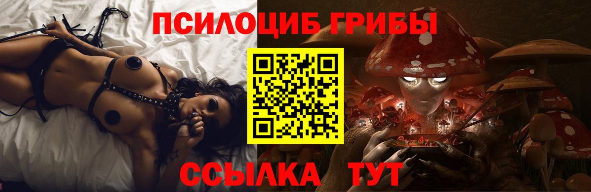 Псилоцибиновые грибы Cubensis  Вход с VPN  что такое   Лыткарино 